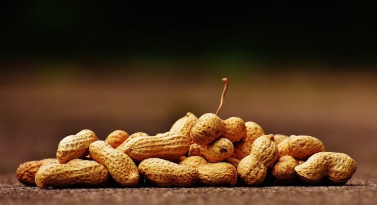 Benefits Of Nuts
